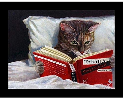 Buyartforless Gerahmter Late Night Thriller – Katze liest einen Spottdrossel von Lucia Heffernan, 25,4 x 20,3 cm, Weiß