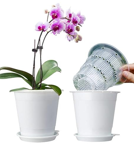 Meshpot 4 Inches Clear Plastic Orchid Pots with Holes Succulent Planter Pot Catus Pot - 2 Inner Pot,2 Outer Pot, Saucer
