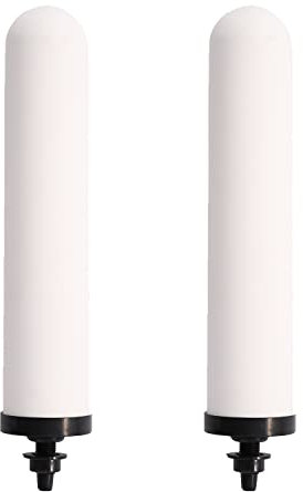 HUINING Filtre à eau dôme en céramique, filtre de remplacement pour unité de préfiltration de l'eau de rechange 0,15 à 0,5 micron pour système de filtration d'eau domestique. (10 inch)
