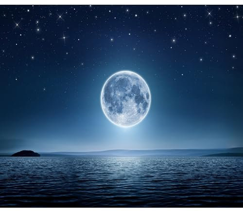 decomonkey Fototapete Vollmond 300x210 cm XL Tapete Fototapeten Vlies Tapeten Vliestapete Wandtapete moderne Wandbild Wand Schlafzimmer Wohnzimmer Landschaft Nacht