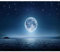 decomonkey Fototapete Vollmond 300x210 cm XL Tapete Fototapeten Vlies Tapeten Vliestapete Wandtapete moderne Wandbild Wand Schlafzimmer Wohnzimmer Landschaft Nacht
