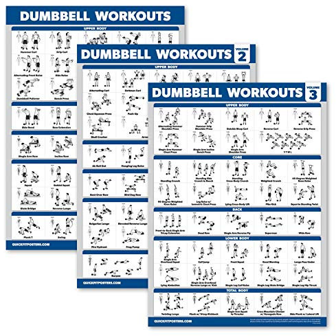 Palace Learning 3 Pack - Dumbbell Workout Posters for Home Gym - Volume 1, 2 & 3 - Exercise Charts (Laminated, 18 x 24)