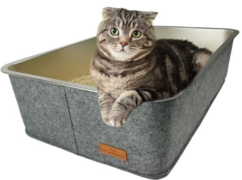 Petriumph® Katzenklo XXL aus Edelstahl | Katzentoilette Groß für Große Katzen und Kleine Katzen | Stilvoller Cat Litter Box | Katzenklo hoher Rand | Katzenklo XXL Modern