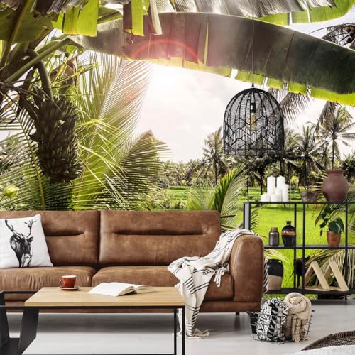 Hexoa Papier Peint panoramique Exotique Paysage de Bali - Made in France - 364x270