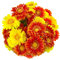 Snail Garden 30 Köpfe künstliche Gerbera Gänseblümchen mit Tautropfen, 2 Farben Seide Gänseblümchen Blumen, die echt Aussehen, gefälschte Blumen, die im Sonnenlicht für Home Office Hochzeit funkeln