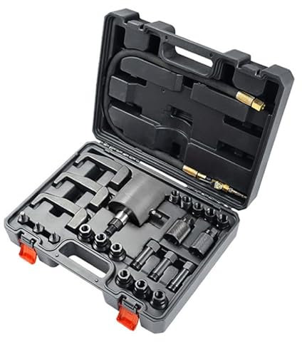 HEYOUTH 24 Piezas Extractor de Inyectores Diésel,Inyector diésel Extractor de inyectores neumáticos, con Adaptador,Herramienta Extractora de Inyectores Diesel,para Motores Diesel