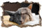 3D-Effekt Wandtattoo Aufkleber Durchbruch selbstklebendes Wandbild Wandsticker Stein Wanddurchbruch Wandaufkleber Tattoo,Süßes schlafendes Kätzchen,Größe 80x120cm
