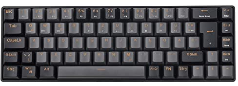teamwolf 69 Kabellos Mechanische Gaming Tastatur QWERTZ Deutsches Layout Blaue Schalter Anti-Ghost Professionelle Tastaturen Clicky (Grau-schwarz)