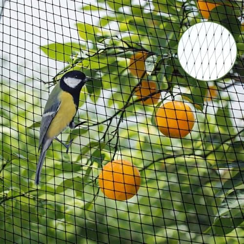 Filet Anti Oiseaux, 4X12m Filet de Jardin, Filet Anti Pigeon, Noir | Filet de Protection, Filet Jardin Potager, Protèger Les Plantes, Les légumes, Les Fruits, Maille Fines de 2 x 2 cm