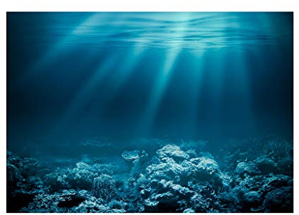 SM SunniMix Aquarium Hintergrund Poster Tank Dekoration, Unterwasser, XS