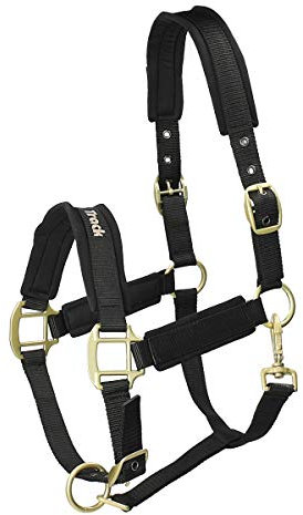 Back on Track Halfter Werano Pony