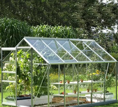 Vitavia Vermont Greenhouse, 2 x 3.2 m, Toughened Glass, Silver Aluminium Frame Vitavia Vermont 6200 6ft 2 x 10ft 4 (2 x 3.2 m) Greenhouse Package