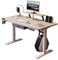 Radlove Schreibtisch Höhenverstellbar Elektrisch, Stehschreibtisch mit 4 Memory-Steuerung und Anti-Kollisions Technologie (Eiche+Monitorablage, 76 x 140 cm)