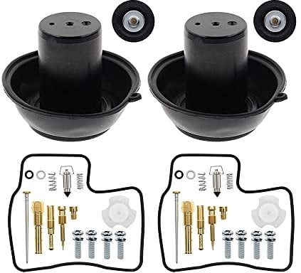 Riloer Set di ricostruzione carburatore, kit di riparazione carburatore compatibile con Honda Steed Shadow 600, VT 600, VLX 600 1994-2003