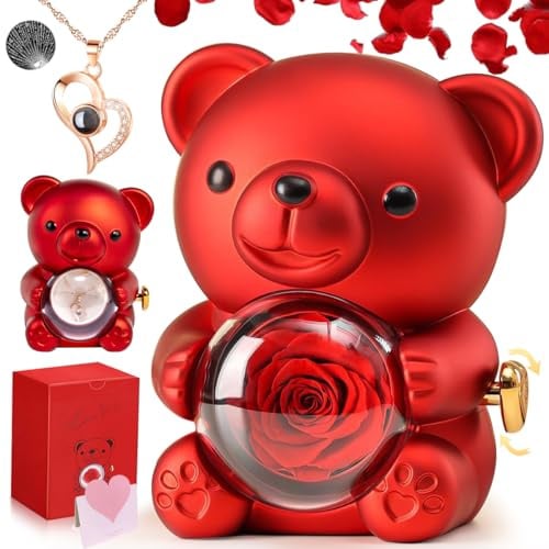 Ours en Rose avec Rose Éternelle et Collier, Coffret Cadeau Romantique pour Femmes, Cadeaux Originaux pour Noël, Anniversaire, Saint-Valentin, Fête des Mères, Idée Cadeau pour Maman, Amie, Épouse