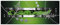 ARTland Wanddeko Glasbilder Wandbild Glas Bild einteilig 125x50 cm Querformat Abstrakte Kunst Geometrie Ornamente Silber Grün S6FP