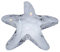 Swarovski SCS Seestern Starfish Member 679350 AP 2005