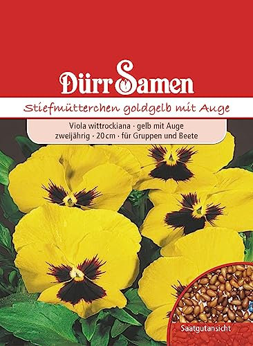 Stiefmütterchen Samen Gelb mit Auge Goldgelb Stiefmütterchensamen Veilchen ca 200 Korn Saatgut Blumensamen Garten Hochbeet Balkonkasten Kübel Dürr Samen