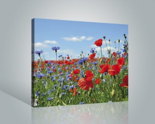 1art1 Blumen Poster Wildblumen-Wiese Mit Mohn- Und Kornblumen Bilder Leinwand-Bild Auf Keilrahmen | XXL-Wandbild Poster Kunstdruck Als Leinwandbild 50x40 cm