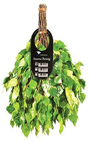 Well Solutions Sauna Reisig Saunaquast (Birke)