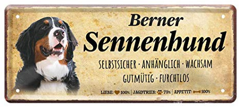 helges-shop Blechschild Berner Sennenhund - Deko Metallschild Hunderasse Wesensart Charakter Gattung - Hunde Zubehör Artikel - Geschenk Hundebesitzer Züchter Liebhaber - Wanddeko Hundehütte - 28x12cm