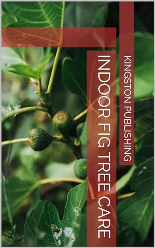 Indoor Fig Tree Care (Low-Maintenance Fruit Gardening Indoors)