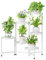 iDavosic.ly Pflanzenständer Metall Groß mit 6 Etagen, Blumenständer Pflanzenregal Blumenregal Indoor Outdoor, Faltbar Blumentreppen Innen Plant Stand Shelf für Garten Balkon Wohnzimmer, Weiß Schwarz
