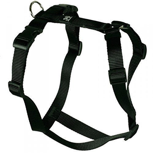 Feltmann Hundegeschirr - Nylonband, Unifarben Schwarz, Bauchumfang 40-60 cm, 15 mm Bandbreite