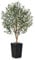 VeriNatural Olivier Artificiel 150cm-Grande Plante Artificielle d'Intérieur et Extérieur, Fausse Arbre avec Pot en Plastique Tressé Noir&Résistant aux UV-Décoration pour Maison,Balcon,VN133