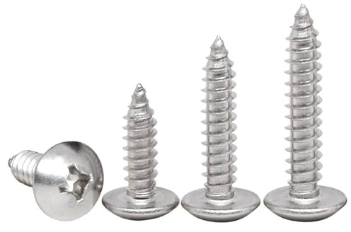 HAISHANG 20 Pièces M6x25mm Vis à Bois Acier Inoxydable Tête Ronde – Vis Autotaraudeuses Cruciformes, Tête de Champignon, Fixations