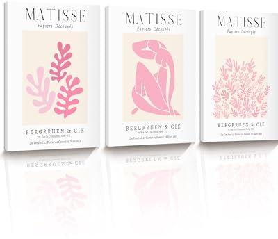 HesenDot Matisse Wandbilder Rosa 30x40cm, Abstrakte Leinwanddrucke mit Rahmen, Minimalistische Kunst Poster Zuhause Deko, Moderne Wand Dekoration für Wohnzimmer Schlafzimmer Flur Bad Büro, 3 Stück