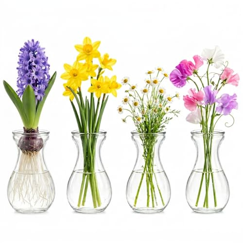 ULTECHNOVO Glass Hyacinth Bulb Vase Set 4 Pack Clear Hydroponic Flower Vases for Bulb Growing Small Decorative Bud Vases for Home Office Restaurant and Florist Display