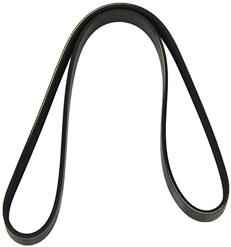 Metzger 6PK1076 DAYCO Keilrippenriemen, Black