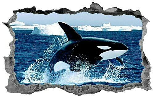 3D Look Wandtattoo Wand Durchbruch Wandbild Sticker Aufkleber Wandaufkleber, Orca,selbstklebend Schlafzimmer Wohnzimmer Kinderzimmer 80x120cm