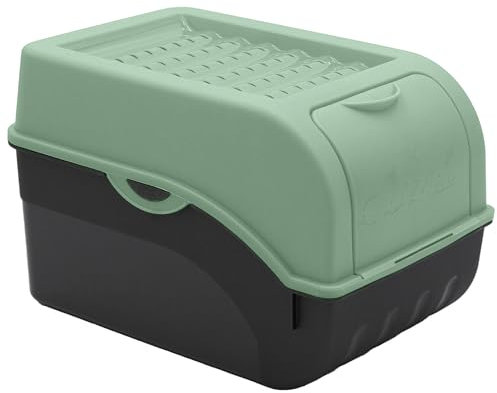 ARTECSIS Boîte Pomme de Terre Vert Sauge pour env. 4kg I Rangement Alimentaire I 6 Stickers/Fruit, Légume, Oignons, Ail