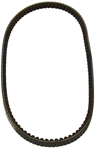 Dayco 17A1055C Antriebsriemen | Kompatibel mit: OPEL CAMPO, FRONTERA A, FRONTERA A Sport, MONTEREY A