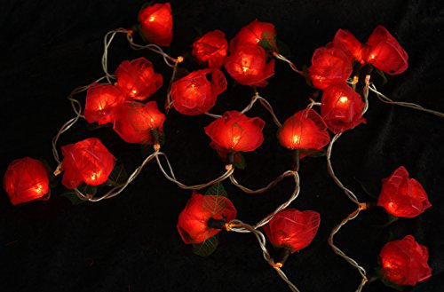 GURU SHOP Blüten LED Lichterkette - 20 Stk Rose Dunkelrot, 6x6x350 cm