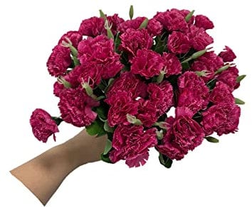 Rikyo Blumenstrauß aus künstlichen Seidenblumen, Nelken, 30,5 cm, Blumenstrauß und Blatt für Zuhause, Party, Braut, Hochzeit, Festival, Dekoration, mit 10 Stück pro Strauß (Violett)
