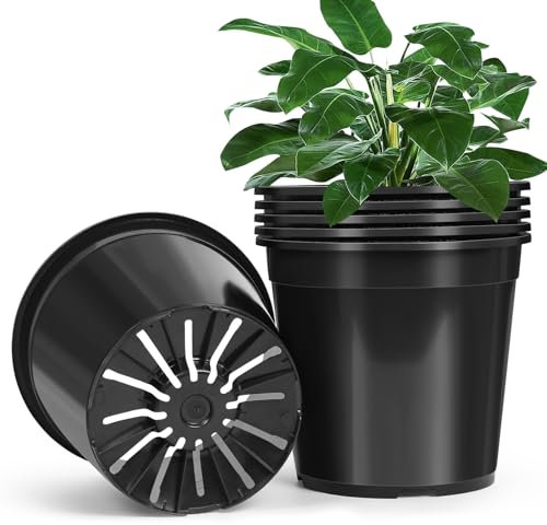 DUNPUTE 6 Pack 3 Gallon Pots for Plants, 3 Gallon Plastic Nursery Pot with Drainage Holes, Sturdy Plastic Plant Pots for Nursery Garden, Flowers, Succulent Outdoor Indoor (Black, 3 Gal- 6 Pack)