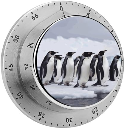 Antarktische Pinguine Küchentimer Kochuhr mit lautem Alarm Mechanischer Ti