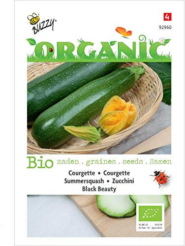 Buzzy® Organic Zucchini Black Beauty (Cucurbita pepo)