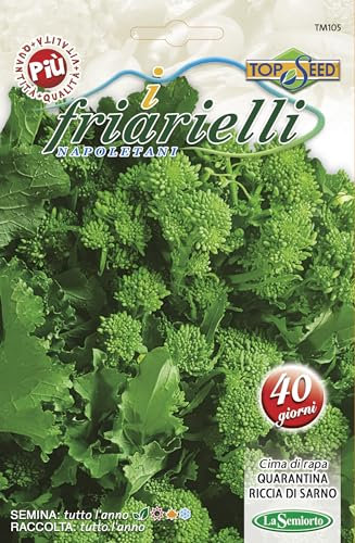 I FRIARIELLI NAPOLETANI - CIMA DI RAPA QUARANTINA RICCIA DI SARNO - Il meglio del seme per i migliori produttori - NO OGM - Sementi di Altissima Germinabilità (15 grammi)