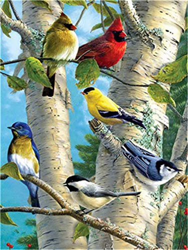 YEESAM ART Peinture Numero Perroquet Oiseaux Colorés, Bricolage Peinture par Numero 40x50 cm Acrylique Decoration Murale