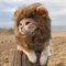 Löwenmähne Kostüm für Katze & Hund Lustige Haustier Cosplay Perücke Kappe Halloween Party Cosplay Kopf Tragen Entzückende Haustier Hut