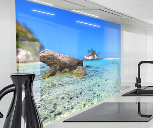 timalo Spritzschutz Wand für Herd, Küche Küchenrückwand Glasoptik | Acryl Glas 2mm | Glasrückwand Acrylglas Wandpaneele Rückwandschutz Platte | 160x50cm Meer Seychellen Felsen