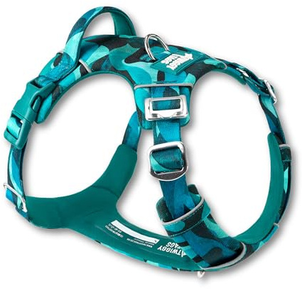 Twiggy Tags Adventure 2.0 Harness | Adjustable, Reflective, Durable Dog Harness | Dual lead attachment & Strong Handle | Stain & Water Repellent, Padded | All Dog Breeds | Lagoom Teal Blue Size 2