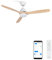 CREA/WINDLIGHT CUP DC/Ventilatore da soffitto con WIFI con luce motore DC bianco, pale in legno naturale/Silenzioso, 2 altezze, timer
