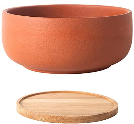 HoneybeeLY 8 Pouces Pot de Fleur en Terre Cuite avec Plateau Succulentes Pot de Fleur DIY coloriage et Dessins de Motifs