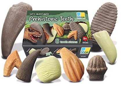 Yellow Door Let's Investigate – Prehistoric Teeth | Dinosaurs |Early Educational Learning |Stem| Fossil Dig For Kids Age 2,3,4,5 |Dinosaur Fossils |Excavation Set | Outdoor Toys
