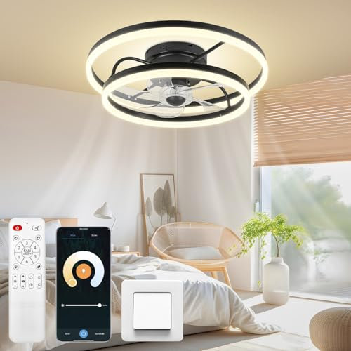Omdekor Ventilador De Techo Con Luz Con Mando A Distancia, Silencioso, Ventilador De Techo Moderno De 50cm, Modo Verano E Invierno, 3 Temperaturas De Color, 6 Niveles